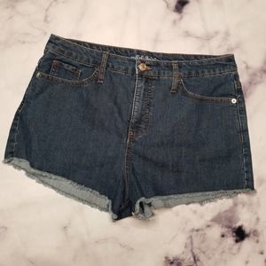 WILD FABLE hi-rise raw hem denim shorts 10